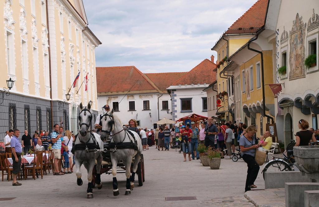 Aparthouse Ani Radovljica Kültér fotó